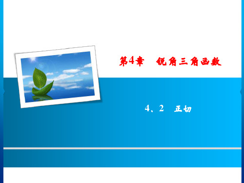 秋九年级数学上册湘教版习题课件：4.2 正 切(共17张PPT)