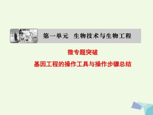 2017-2018年高中生物 第一单元 生物技术与生物工程 第一章 基因工程和蛋白质工程 微专题突破 基因工程的操