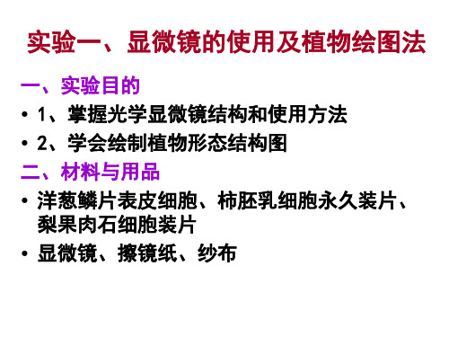 实验一、显微镜的使用及植物绘图法.