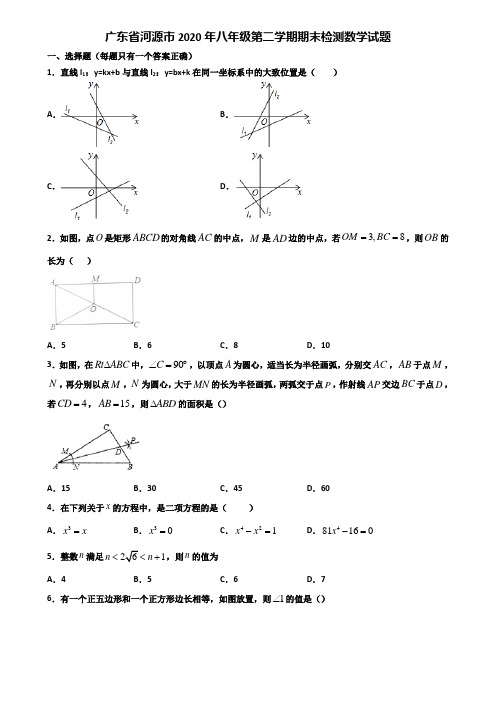 广东省河源市2020年八年级第二学期期末检测数学试题含解析