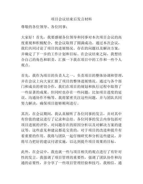 项目会议结束后发言材料