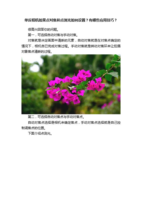 单反相机如果点对焦和点测光如何设置？有哪些应用技巧？