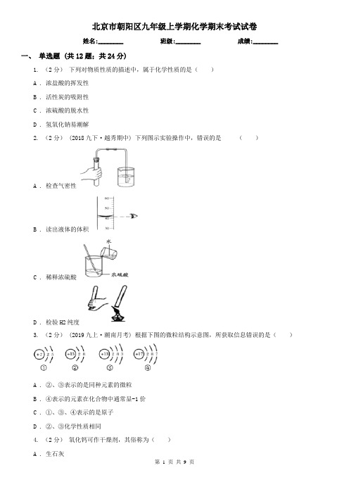 北京市朝阳区九年级上学期化学期末考试试卷