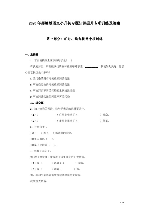 2020年部编版语文小升初专题知识提升专项训练及答案