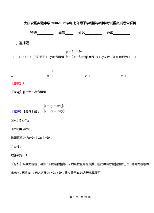 大庆农场实验中学2018-2019学年七年级下学期数学期中考试模拟试卷含解析