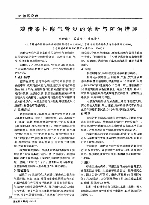 鸡传染性喉气管炎的诊断与防治措施