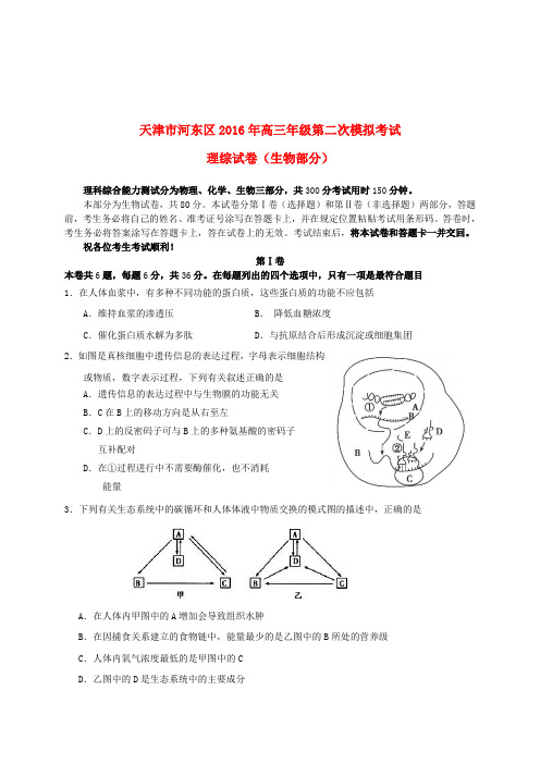 天津市河东区2016届高三理综第二次模拟考试试题(含答案)