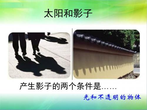 青岛版小学科学四年级下册《认识光》课件