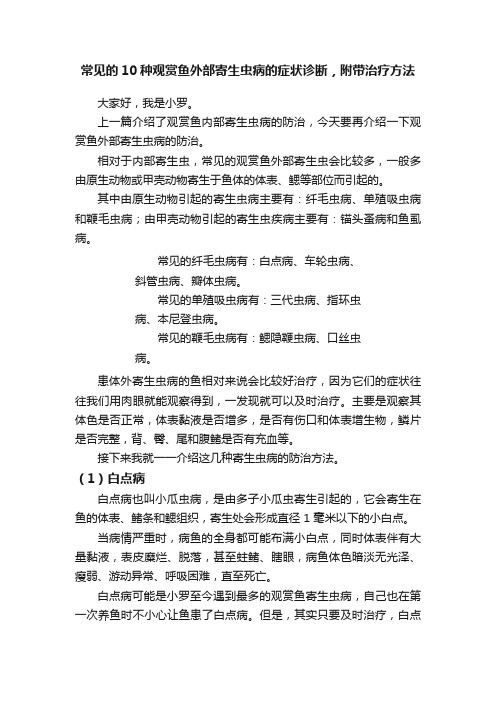 常见的10种观赏鱼外部寄生虫病的症状诊断，附带治疗方法