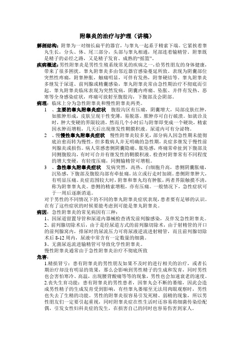 附睾炎讲稿