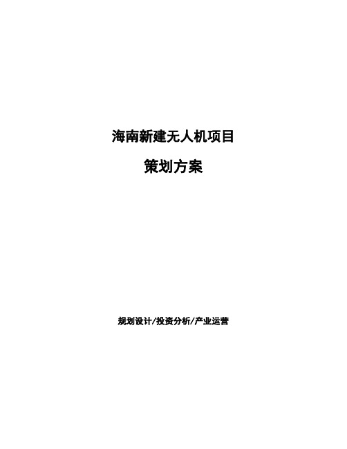 海南新建无人机项目策划方案