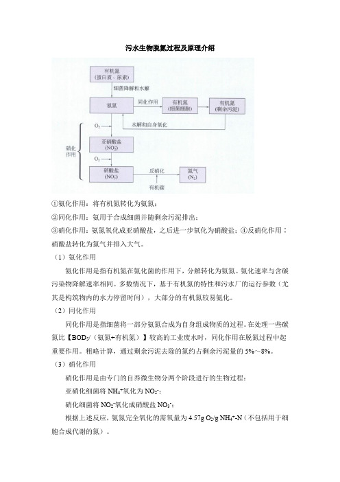 污水生物脱氮过程及原理介绍