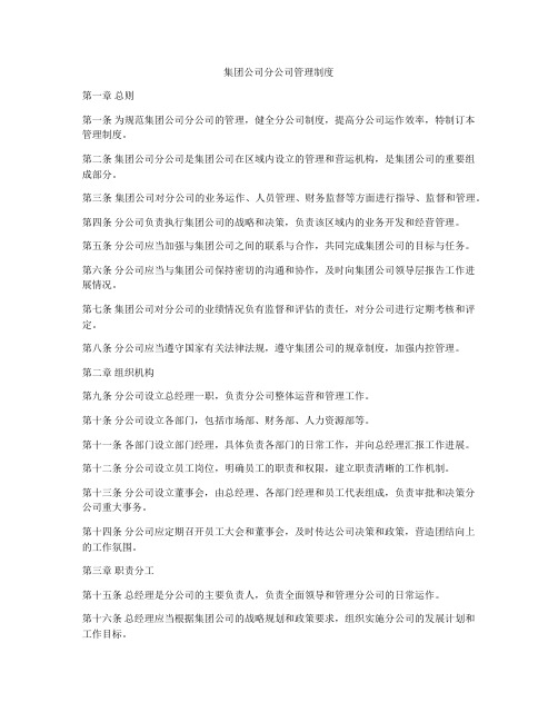 集团公司分公司管理制度