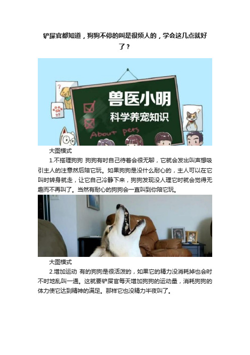 铲屎官都知道，狗狗不停的叫是很烦人的，学会这几点就好了？