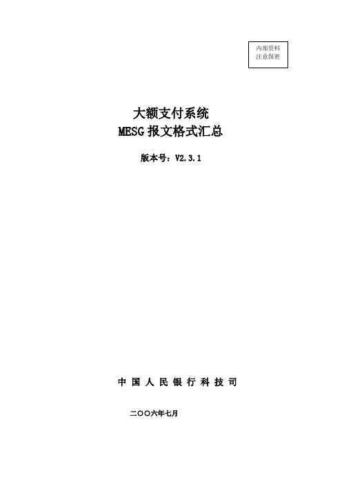 大额支付系统报文格式标准v2.3