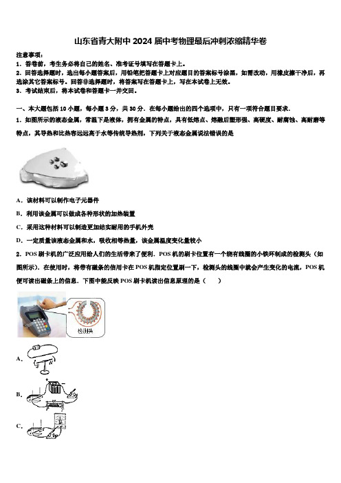 山东省青大附中2024届中考物理最后冲刺浓缩精华卷含解析