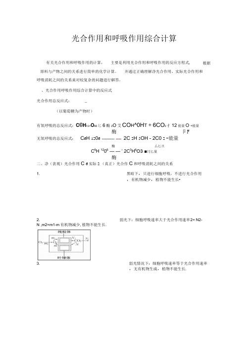 光合作用和呼吸作用综合计算