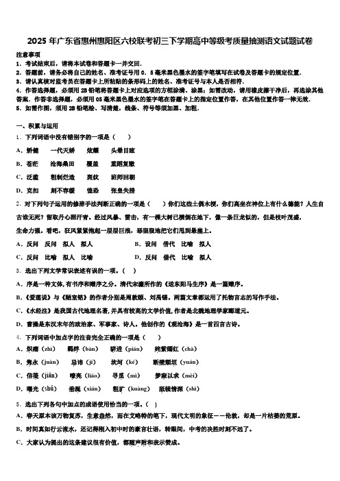 2025年广东省惠州惠阳区六校联考初三下学期高中等级考质量抽测语文试题试卷含解析