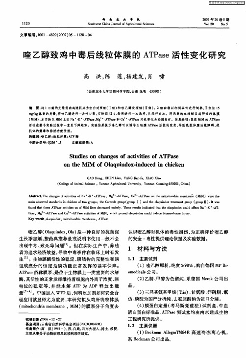喹乙醇致鸡中毒后线粒体膜的ATPase活性变化研究