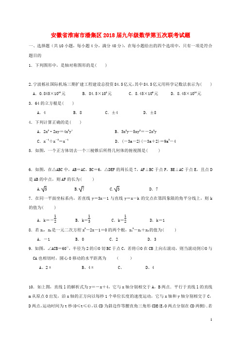 安徽省淮南市潘集区2018届九年级数学第五次联考试题