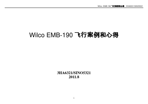 E-190飞行案例和心得