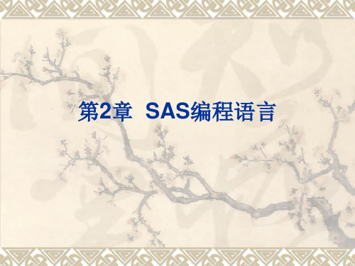 第2章  SAS编程语言