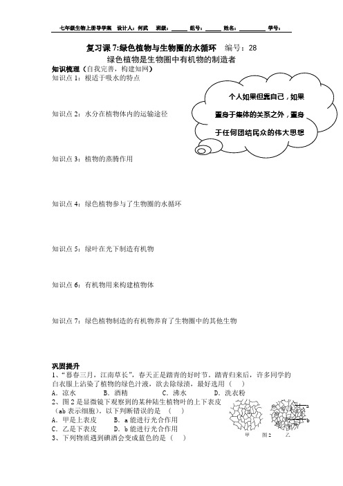 人教版七年级生物上册导学案(无答案):第三单元第四章复习课7绿色植物与生物圈的水循环