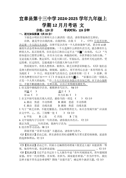 湖南省宜章县第十三中学2024-2025学年九年级上学期12月月考语文试题(含答案)