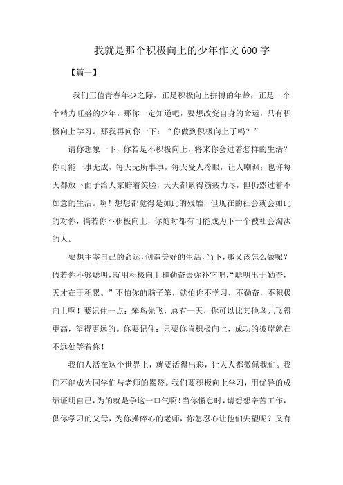 我就是那个积极向上的少年作文600字