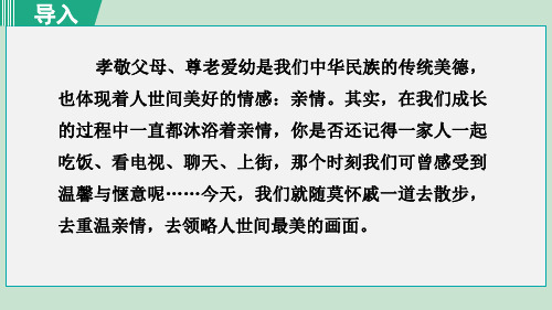 《散步》PPT教学课件