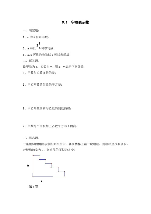 上海七年级数学上---9.1字母表示数