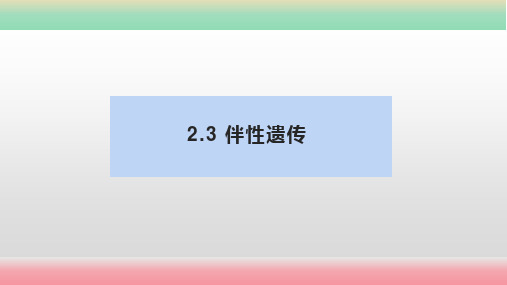 伴性遗传课件高一下学期生物人教版必修2