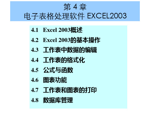 大学计算机基础-第4章电子表格处理软件EXCEL2003