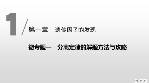 微专题一分离定律的解题方法与攻略