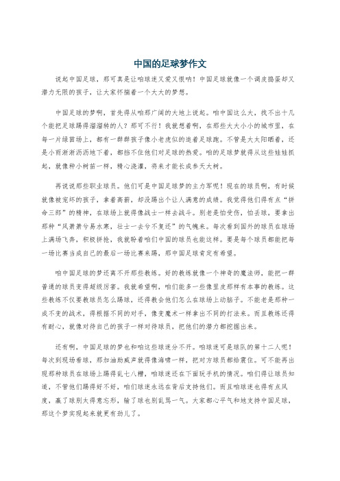 中国的足球梦作文