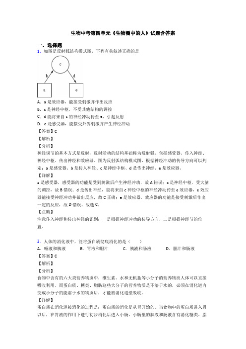 生物中考第四单元《生物圈中的人》试题含答案