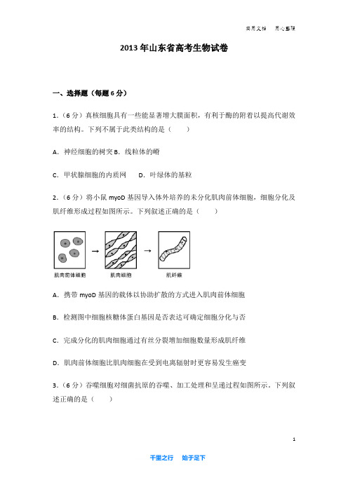 2013年 山东省 高考生物 试卷及解析