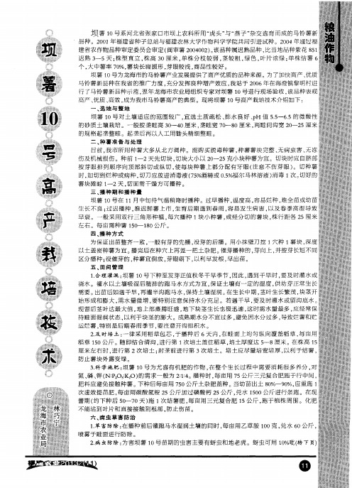 坝薯10号高产栽培技术