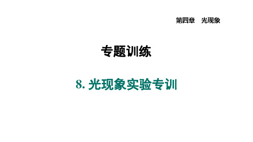 第四章+光现象+专题++8.+光现象实验专训+课件+2024-2025学年人教版物理八年级上册