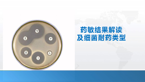 药敏结果解读及细菌耐药类型
