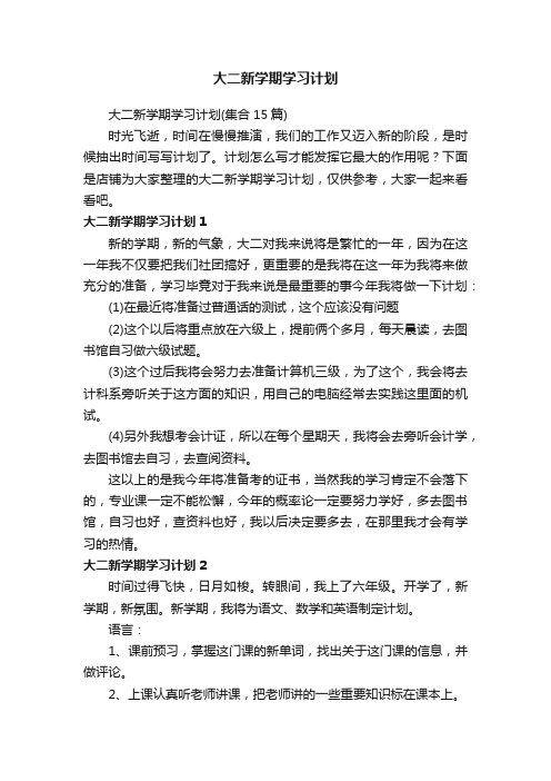 大二新学期学习计划