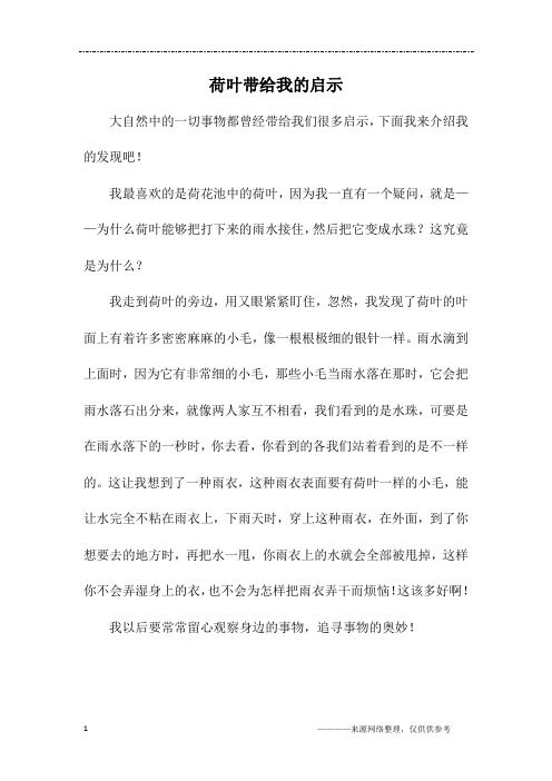 荷叶带给我的启示