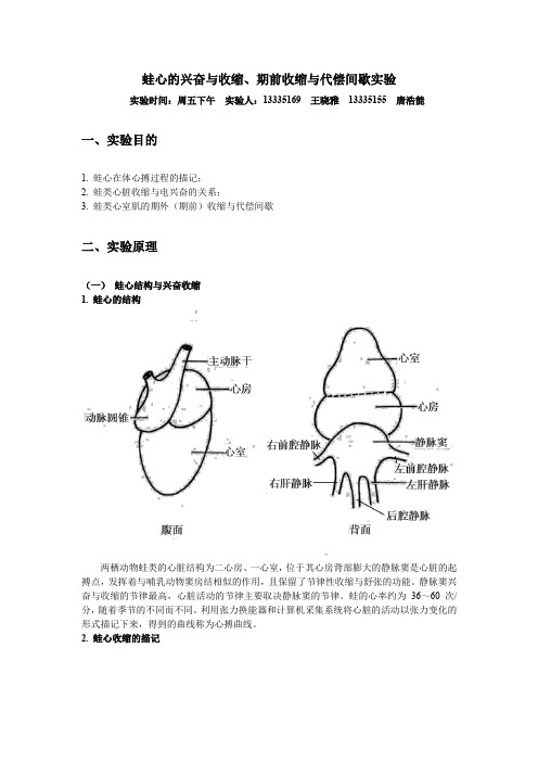 蛙心的兴奋与收缩、期前收缩与代偿间歇实验