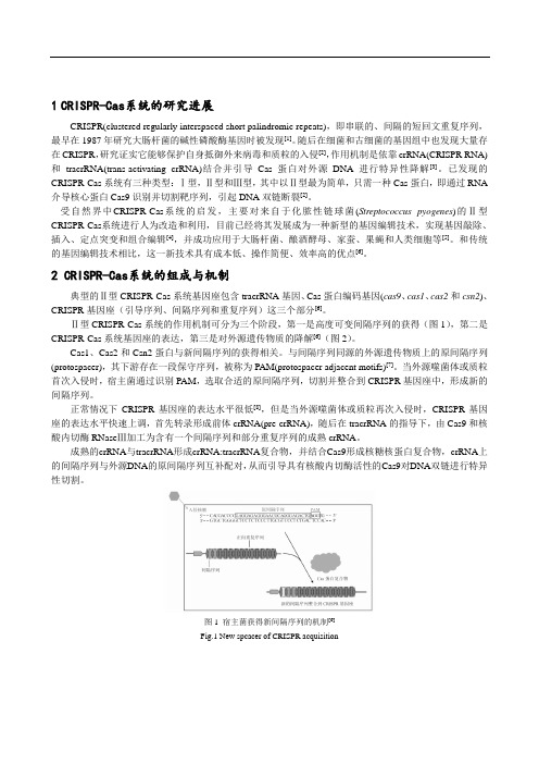 大肠杆菌CRISPR-Cas9系统基因敲除简介