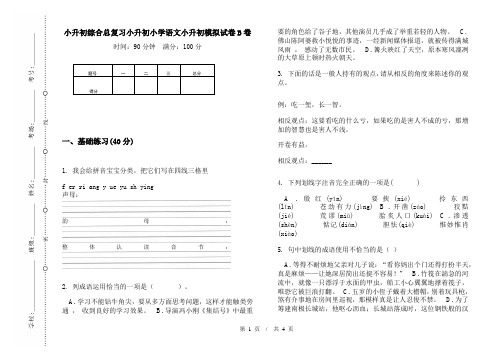 小升初综合总复习小升初小学语文小升初模拟试卷B卷