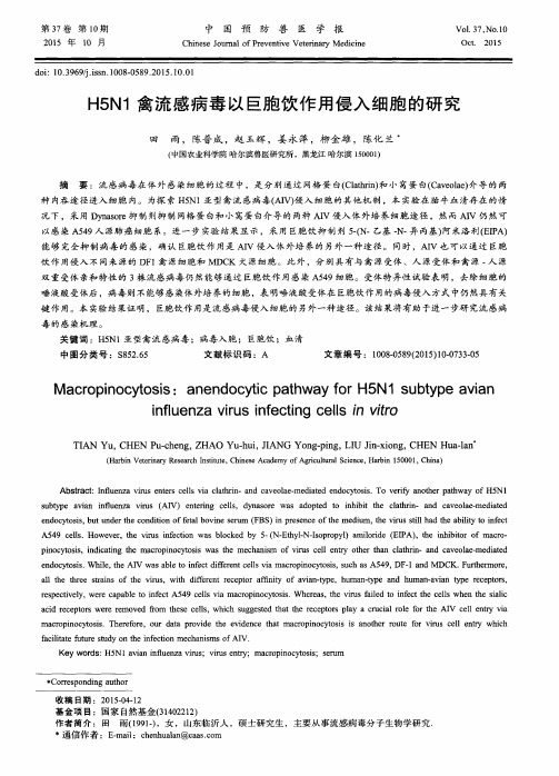 H5N1