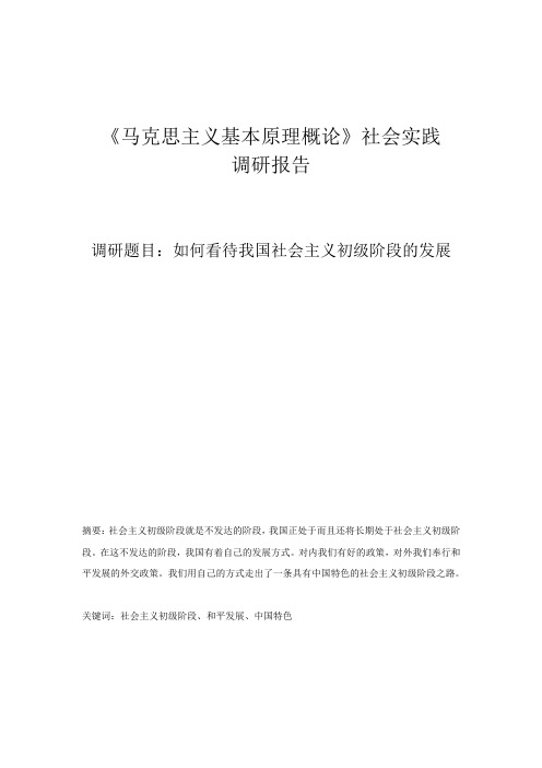 如何看待我国社会主义初级阶段的发展