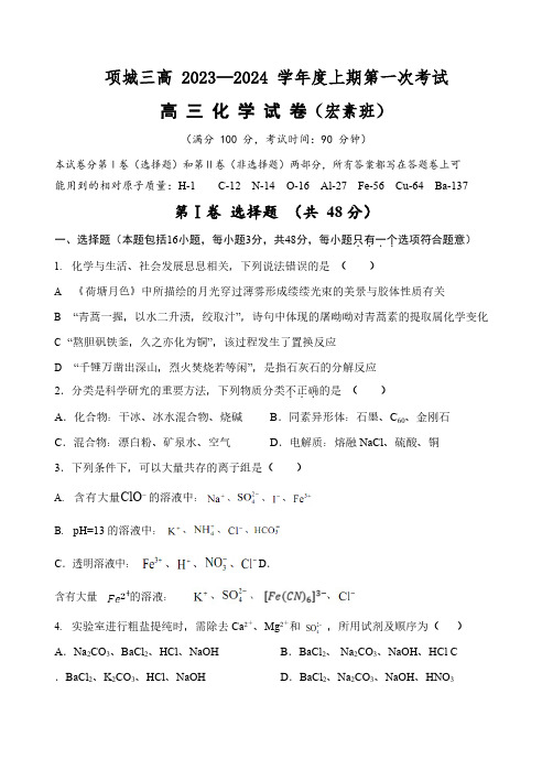 2023-2024学年河南省周口市项城三高高三上学期第一次月考化学试题及答案