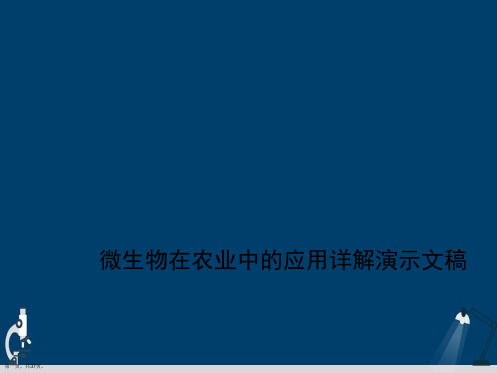 微生物在农业中的应用详解演示文稿