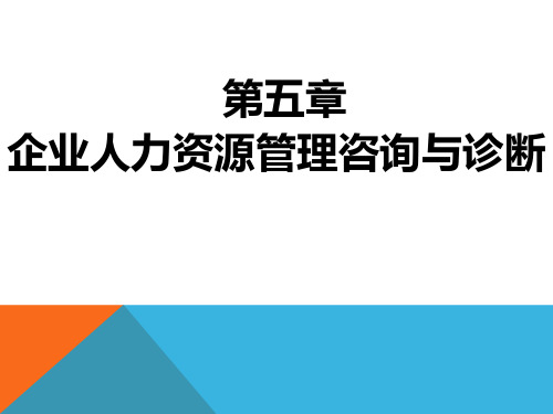 5企业人力资源管理咨询与诊断及案例分析(17页)